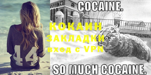 мяу мяу мука Баксан