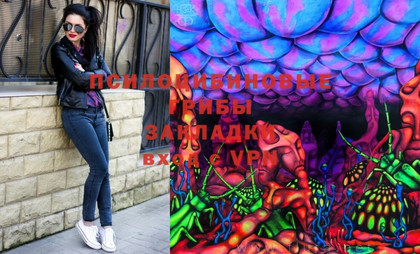 таблы Белокуриха