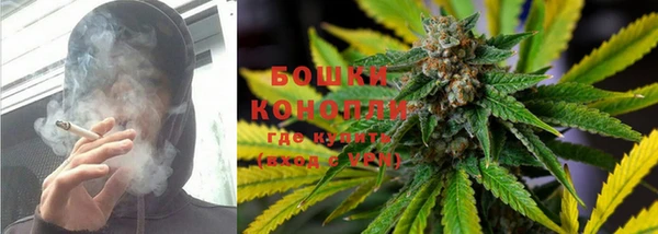 стаф Белоозёрский